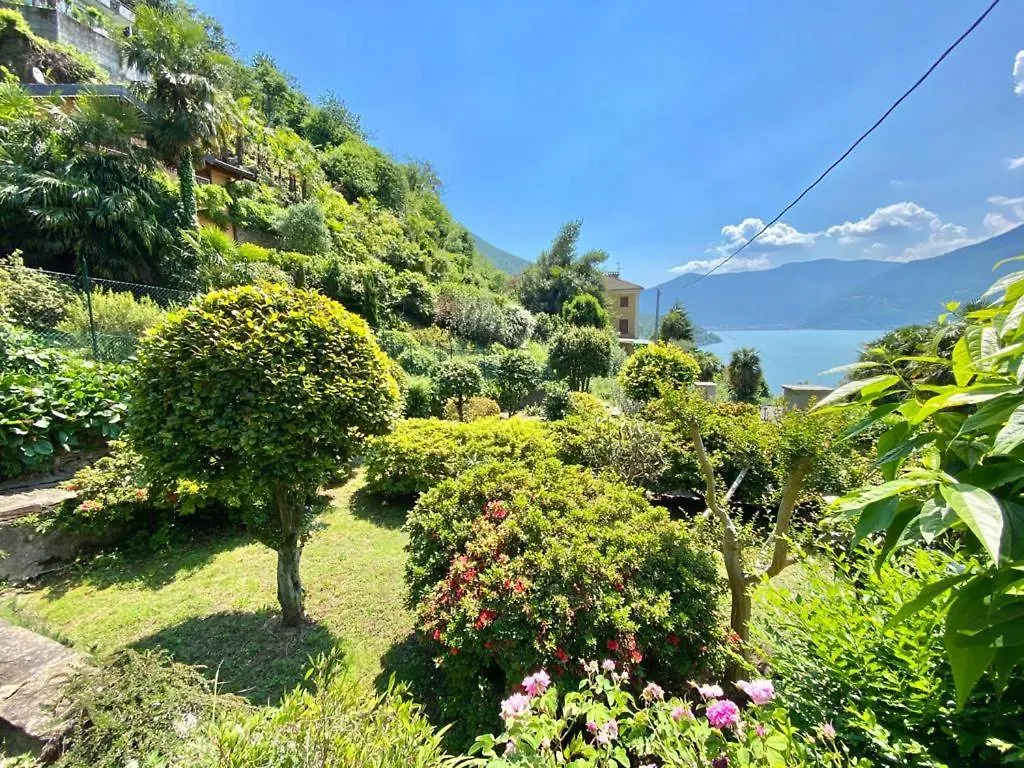Casa L'Arbi Villa Pino Lago Maggiore